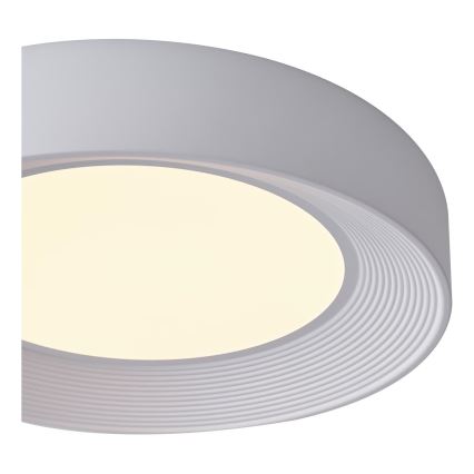 LED Plafonjera MOONLIGHT LED/40W/230V 3000K bela pr. 50 cm