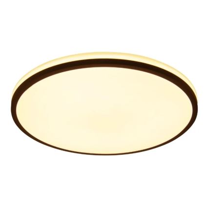 LED Prigušiva plafonjera OPAL LED/48W/230V 3000-6500K + Daljinski upravljač