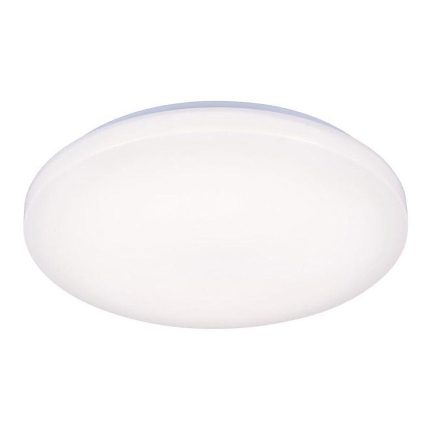 LED Plafonjera OPAL LED/50W/176-264V