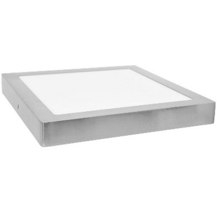 LED Plafonjera RAFA LED/12W/230V 2700K