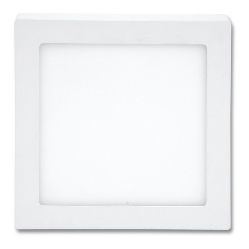 LED Plafonjera RAFA LED/18W/230V 2700K