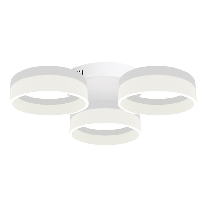 LED Plafonjera RING 3xLED/12W/230V bela