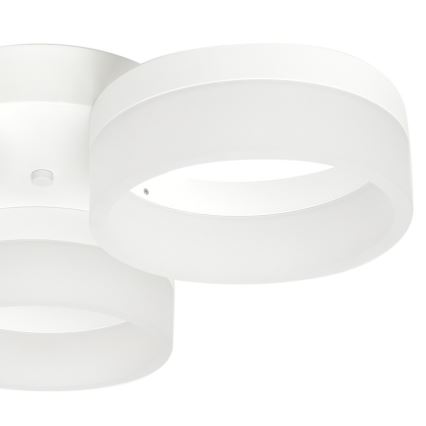 LED Plafonjera RING 3xLED/12W/230V bela