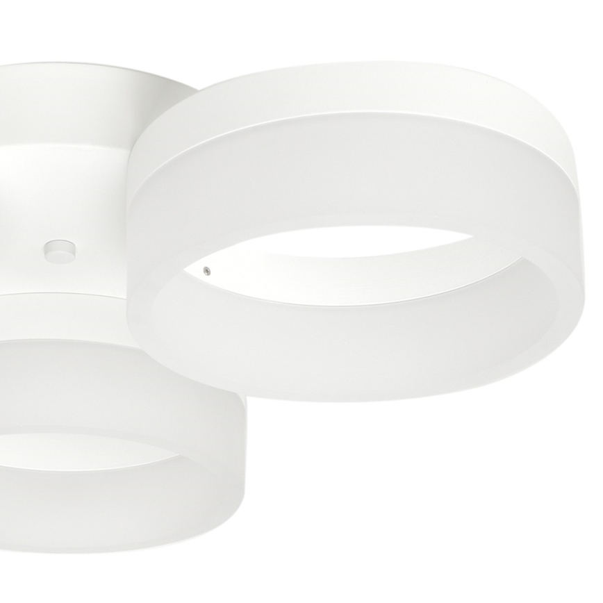 LED Plafonjera RING 3xLED/12W/230V bela