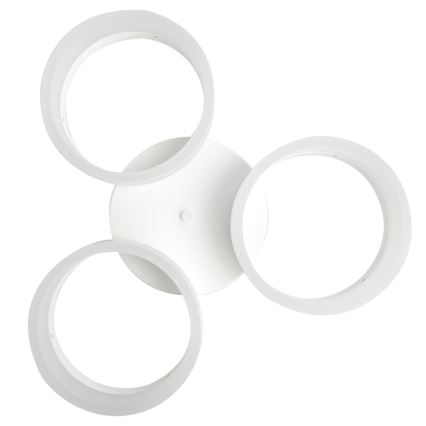LED Plafonjera RING 3xLED/12W/230V bela