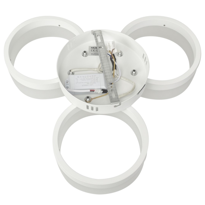 LED Plafonjera RING 3xLED/12W/230V bela