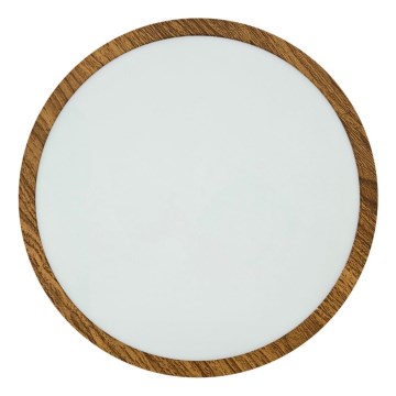 LED Plafonjera RING LED/24W/230V 4200K pr. 28,5 cm braon
