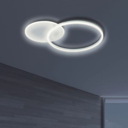 LED Plafonjera ROMAN LED/33W/230V 4000K bela