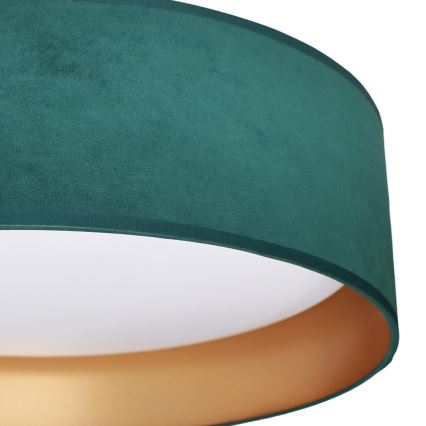 LED Plafonjera RONDO LED/18W/230V zelena