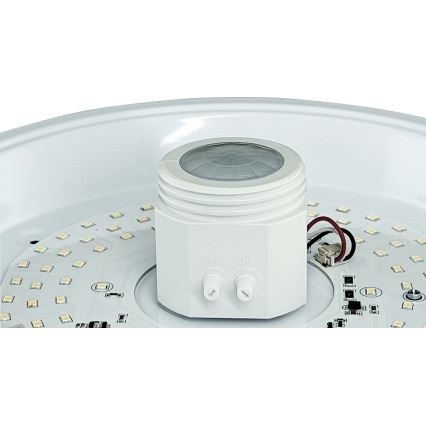 LED Plafonjera sa senzorom i modul za hitan slučaj MANA LED/12W/230V 4000K