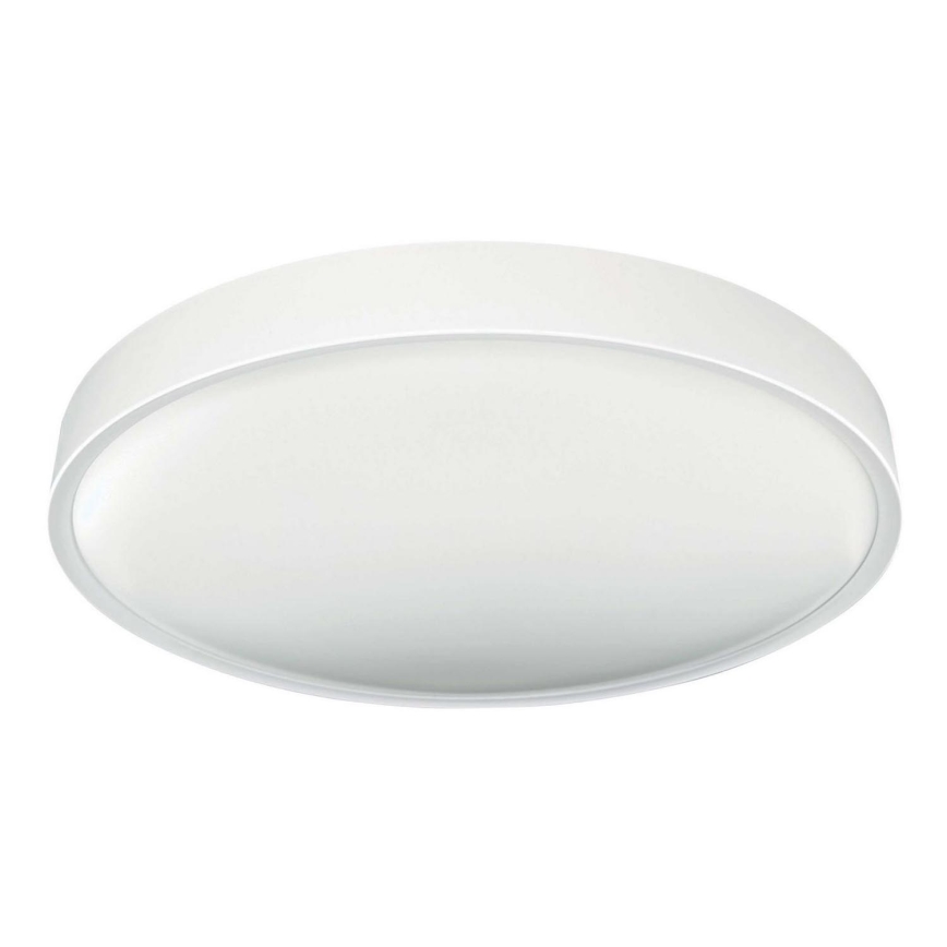 LED Plafonjera SAMER LED/24W/230V 4000K