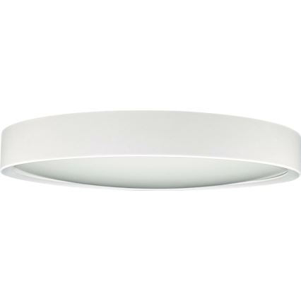 LED Plafonjera SAMER LED/24W/230V 4000K