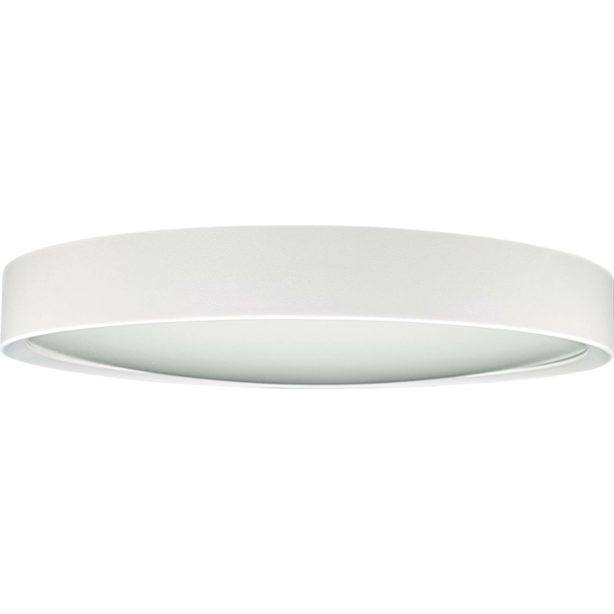 LED Plafonjera SAMER LED/24W/230V 4000K