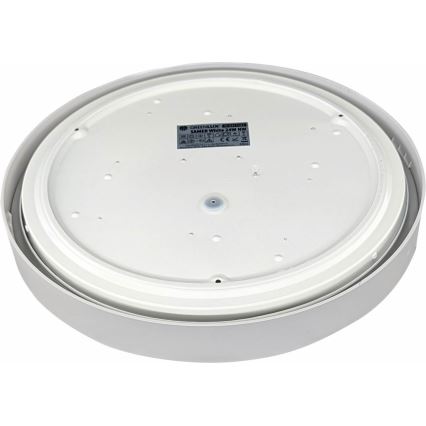 LED Plafonjera SAMER LED/24W/230V 4000K