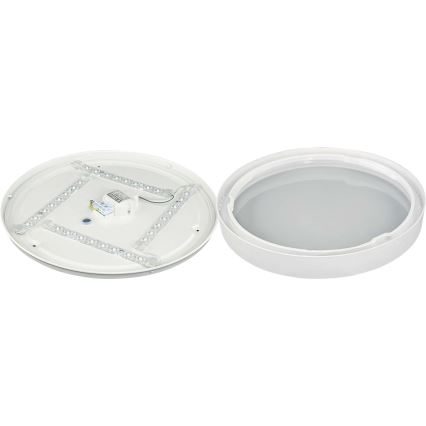 LED Plafonjera SAMER LED/24W/230V 4000K