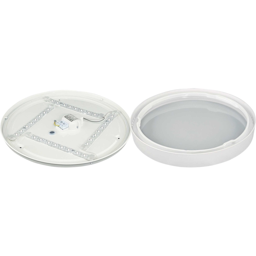 LED Plafonjera SAMER LED/24W/230V 4000K
