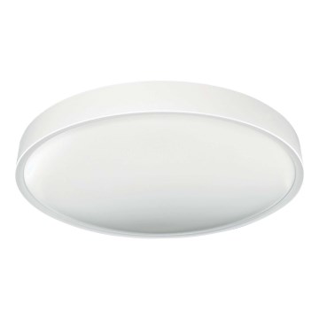 LED Plafonjera SAMER LED/40W/230V 4000K