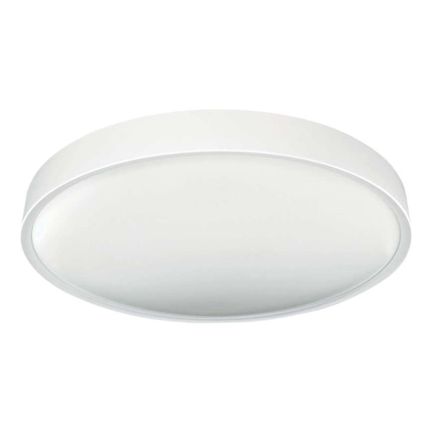 LED Plafonjera SAMER LED/40W/230V 4000K