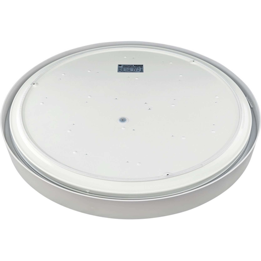 LED Plafonjera SAMER LED/40W/230V 4000K