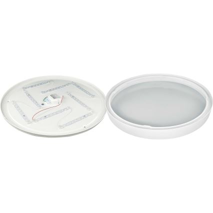 LED Plafonjera SAMER LED/40W/230V 4000K