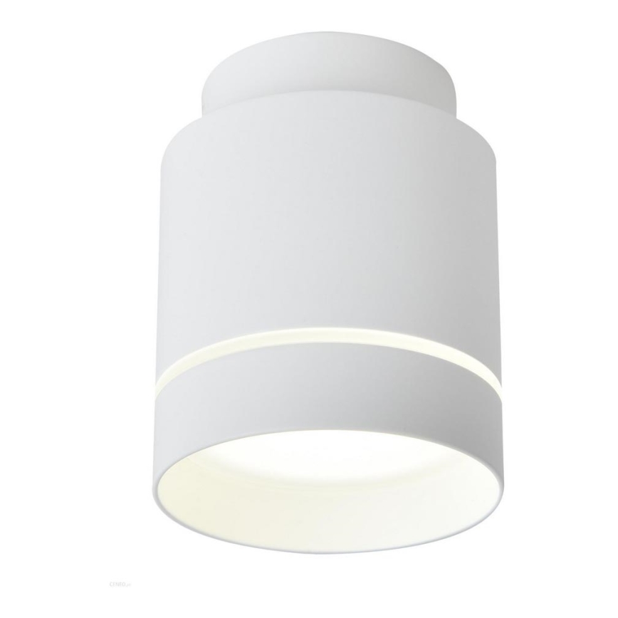 LED Plafonjera TUBA LED/12W/230V