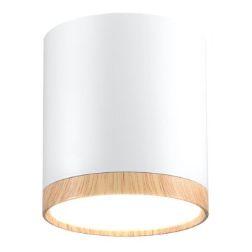 LED Plafonjera TUBA LED/5W/230V bela/bež