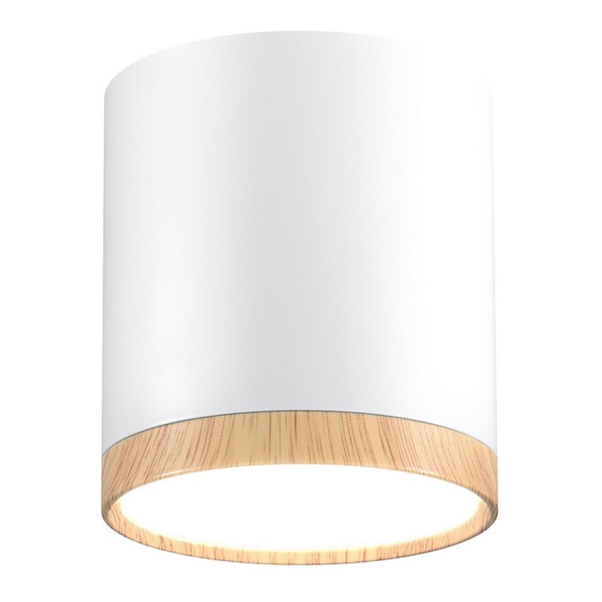 LED Plafonjera TUBA LED/5W/230V bela/bež
