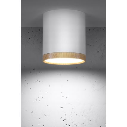 LED Plafonjera TUBA LED/5W/230V bela/bež