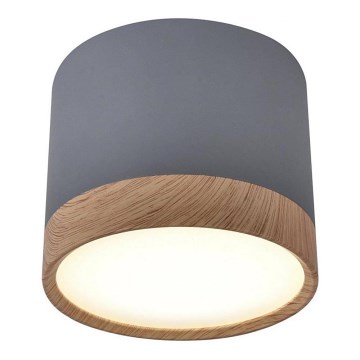 LED Plafonjera TUBA LED/9W/230V