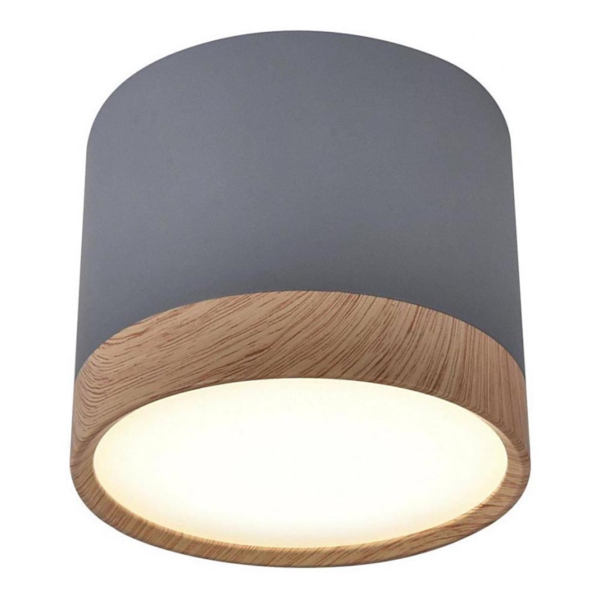 LED Plafonjera TUBA LED/9W/230V