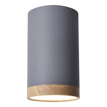 LED Plafonjera TUBA LED/9W/230V