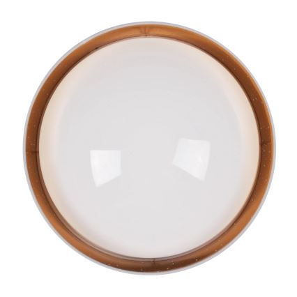 LED Plafonjera TULUZA LED/24W/230V pr. 40 cm bela