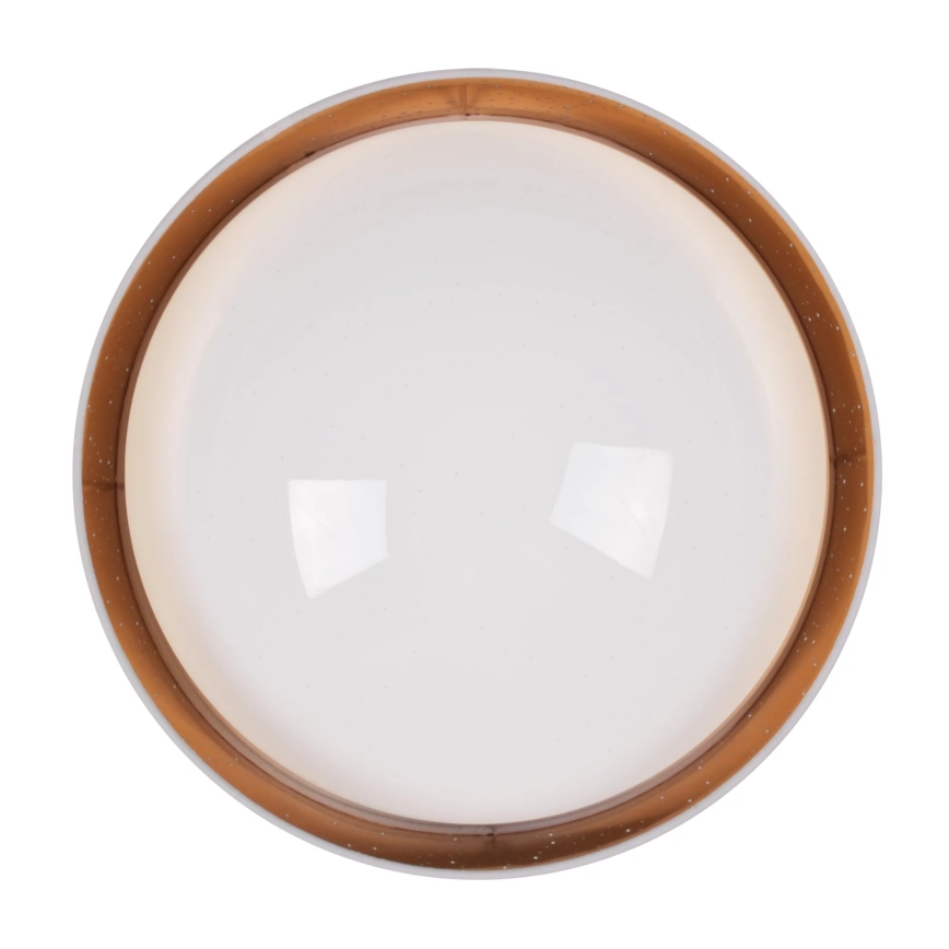 LED Plafonjera TULUZA LED/24W/230V pr. 40 cm bela