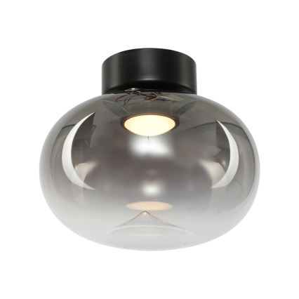 LED Plafonjera VASO LED/4W/230V pr. 18 cm dimno
