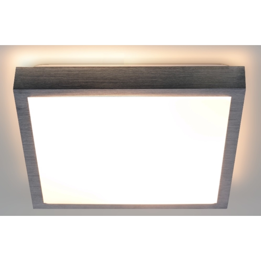 LED Plafonjera VITAL LED/24W/230V mat krom