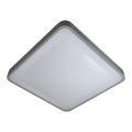 LED Plafonjera WILTON LED/24W/230V 37,5x37,5 cm sivo