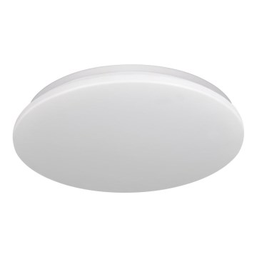 LED Plafonjera za kupatilo ADAR LED/12W/230V IP44 4000K
