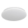 LED Plafonjera za kupatilo ADAR LED/12W/230V IP44 4000K