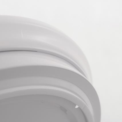 LED Plafonjera za kupatilo ADAR LED/17W/230V IP44 4000K