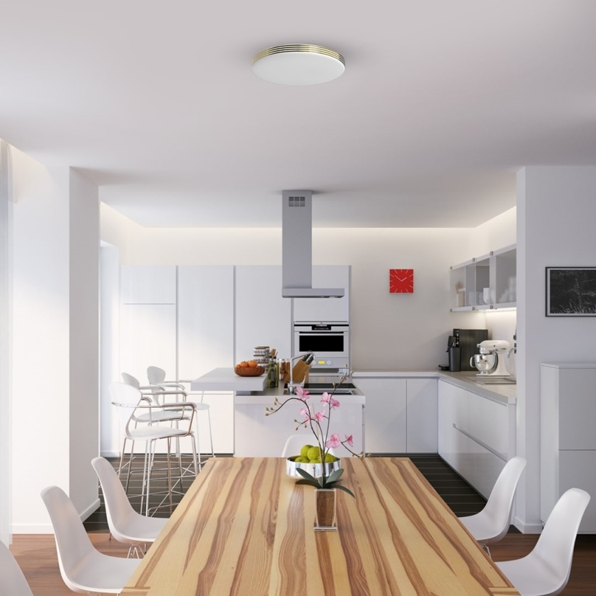 LED Plafonjera za kupatilo BEVER LED/10W/230V 4000K pr. 26 cm IP44