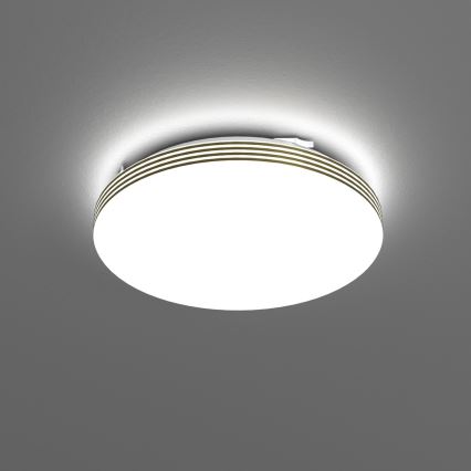 LED Plafonjera za kupatilo BEVER LED/10W/230V 4000K pr. 26 cm IP44
