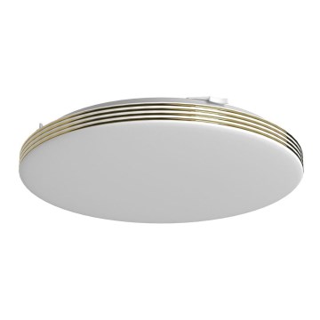 LED Plafonjera za kupatilo BEVER LED/16W/230V 4000K pr. 33 cm IP44