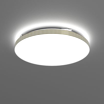 LED Plafonjera za kupatilo BEVER LED/16W/230V 4000K pr. 33 cm IP44