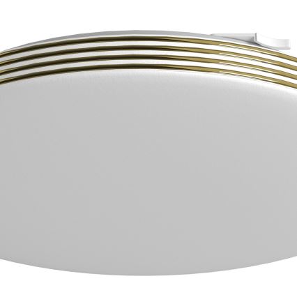 LED Plafonjera za kupatilo BEVER LED/16W/230V 4000K pr. 33 cm IP44