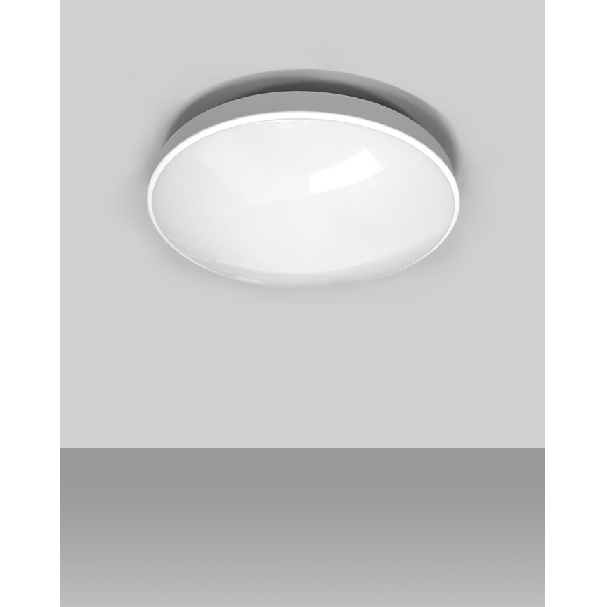 LED Plafonjera za kupatilo CIRCLE LED/24W/230V 4000K pr. 37 cm IP44 bela
