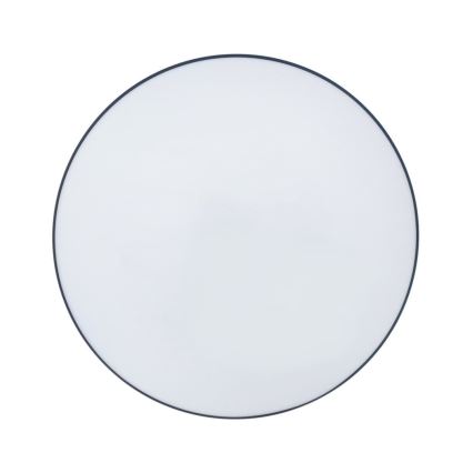 LED Plafonjera za kupatilo CIRCLE LED/36W/230V 4000K pr. 45 cm IP44 crno