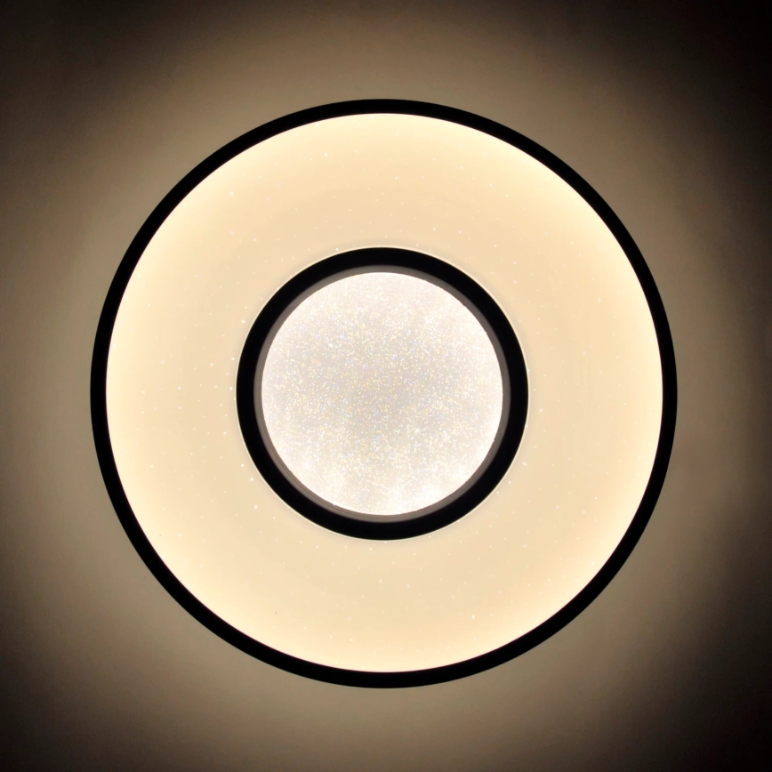 LED Plafonjera za kupatilo DETROIT LED/24W/230V pr. 39 cm IP44