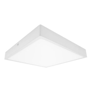 LED Plafonjera za kupatilo EGON LED/16W/230V IP44 3000K