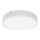 LED Plafonjera za kupatilo EGON LED/16W/230V IP44 4000K