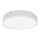 LED Plafonjera za kupatilo EGON LED/30W/230V IP44 3000K
